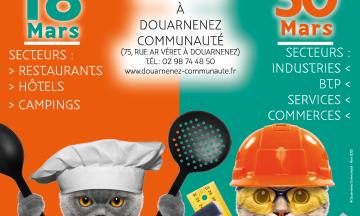 jobdatin