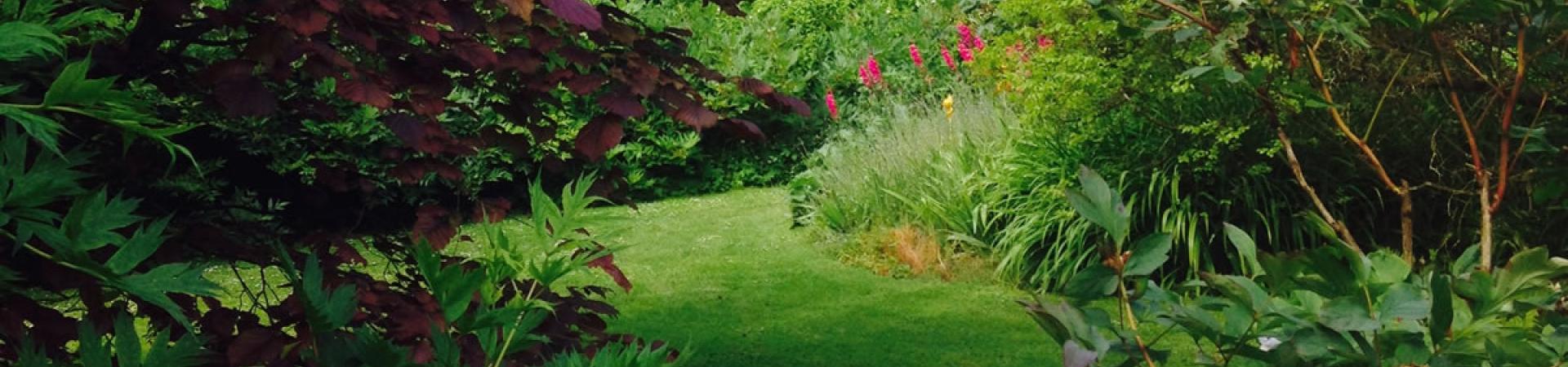 A l'EHPAD Ty Marhic, on cultive son jardin. Et ça fait tellement de bien !